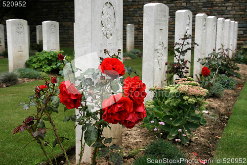 Image of War cemetery