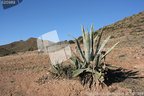 Image of Andalusia