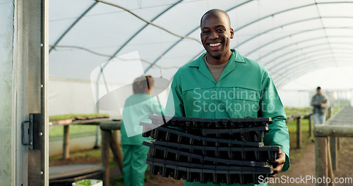 Image of Portrait, farmer and black man with tray at greenhouse for organic vegetables, plant and growth for sustainability. Face, smile and person at nursery for agriculture, African worker or business owner