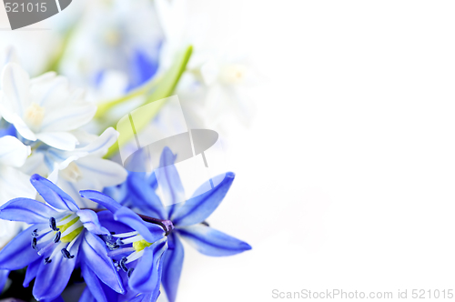 Image of Spring flowers background