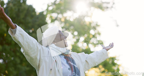 Image of Freedom, nature and happy senior woman in a park for breathing, celebration or travel adventure. Retirement, energy and African female person in a forest with gratitude for life, peace and fresh air