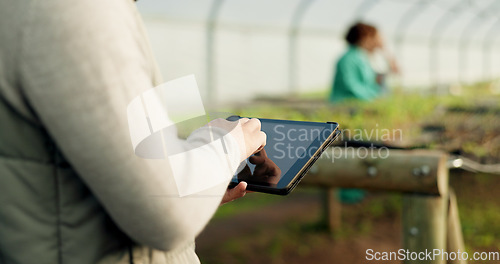 Image of Person, farmer and tablet in greenhouse, farming and worker for agriculture, supply chain and call. Farm owner, supplier and organic products for eco friendly, sustainable business or communication
