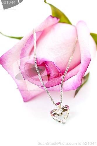 Image of Diamond necklace on rose