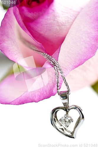 Image of Diamond necklace on rose