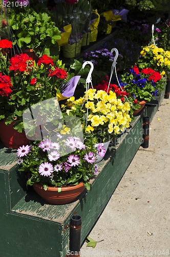 Image of Flower baskets for sale