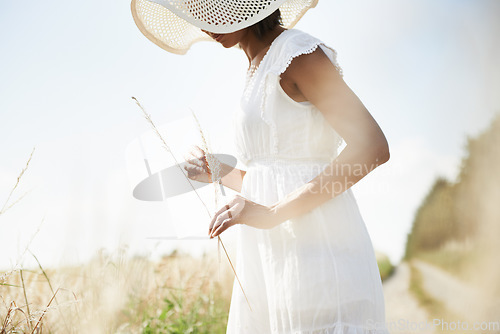 Image of Sunshine, wheat field and woman with nature, grass and environment with break, weekend and landscape. Person, girl and traveller with freedom, exploring and plants with ecology, spring and summer