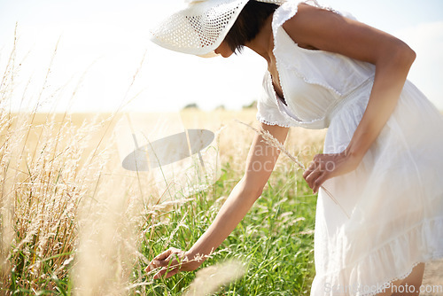 Image of Sunshine, wheat field and woman with nature, summer and environment with break, weekend and landscape. Person, girl and traveller with freedom, exploring and plants with ecology, spring and grass