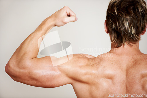 Image of Back, arm and a man flexing his bicep in studio isolated on a gray background for health, fitness or wellness. Exercise, training and strong with the body of a shirtless model from behind for power