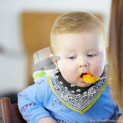 Image of Toddler, eating and meal with spoon in kitchen for lunch with baby food, carrot or squash. Little boy, infant or hungry for delicious, yummy and health in home for future, growth or child development