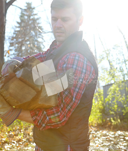 Image of One mature lumberjack holding pieces of wooden logs after chopping tree in remote landscape. Serious focused man standing alone outside, carrying firewood for stove. Gathering for alternative heating