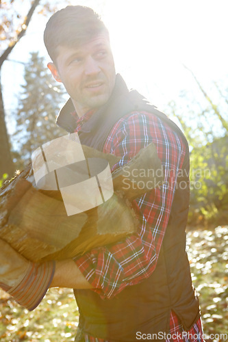 Image of I think theres enough here...A handsome lumberjack holding a pile of wood he has collected. Young man in the forests collecting wood for winter.