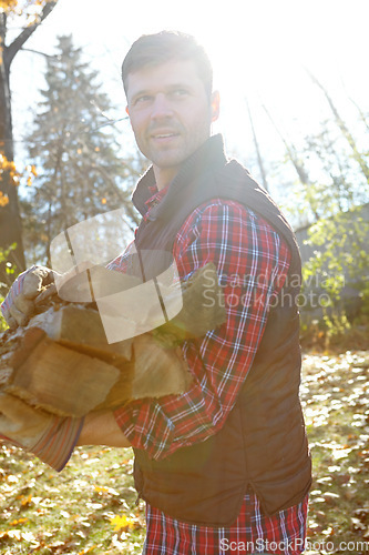 Image of A handsome lumberjack holding a pile of wood he has collected for a cosy fire to warm a cabin in the woods. Attractive macho man carrying wood to burn while living off the grid with no worries