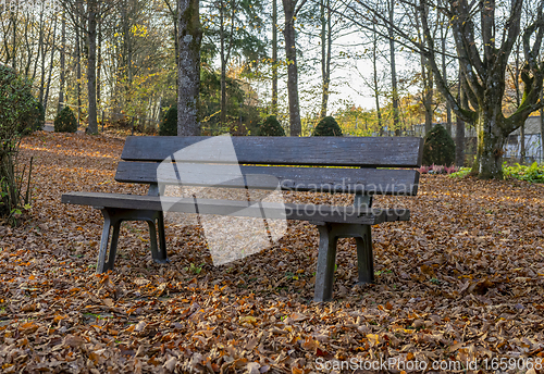 Image of bench in a cemetery at autumn time