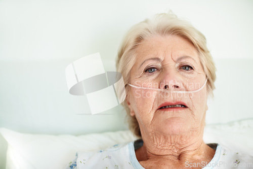 Image of Struggling to breath - Senior Health. Ailing senior woman wearing a nasal cannula looks for hope - Copyspace.