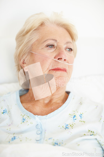 Image of Despairing senior woman looks to the past - Senior HealthIllness. Ailing senior woman wearing a nasal cannula looks out of her hospital window thoughtfully.