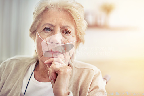 Image of Taking it one day at a time. Cropped portrait of a senior woman at home.