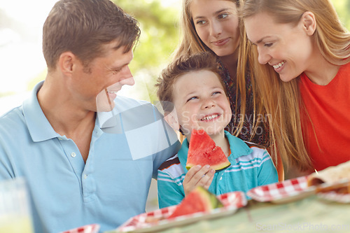 Image of Family picnic in the park. Happy attractive family having a picnic in the park.