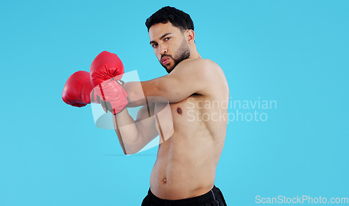 Image of Fitness, boxer and portrait of man stretching in studio for workout, training or mindset on blue background. Health, exercise and face of male athlete with boxing gloves for body, warm up or sports