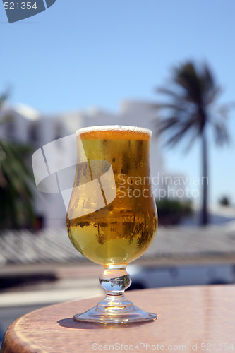 Image of Cold Beer with reflection palm and blue sky