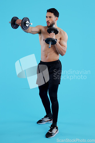 Image of Dumbbells, fitness and man in studio for training, exercise or bodybuilding on blue background. Health, wellness and topless guy bodybuilder with bicep workout, muscle or flex, progress or resilience