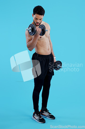 Image of Fitness, dumbbells and man flex in studio for training, exercise or bodybuilding on blue background. Health, wellness or topless bodybuilder with bicep workout, muscle or body, progress or resilience