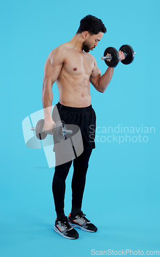 Image of Fitness, dumbbells and man in studio for training, exercise or bodybuilding on blue background. Health, wellness and topless guy bodybuilder with bicep workout, muscle or flex, progress or resilience
