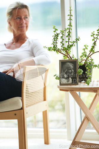 Image of Old, woman and thinking for picture nostalgia or memory image, miss life or time pass thoughts. Female person, retirement and photo of childhood for remembering daydreaming, aged pensioner in home