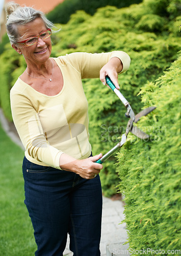 Image of Senior woman, garden hedge and scissors with smile for spring landscaping, nature and leaves in backyard. Elderly lady, plants and outdoor in summer for cleaning, growth and working in retirement