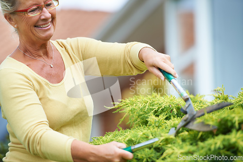 Image of Senior, happy woman and outdoors with shears in garden by landscaping of nature, plant or greenery. Elderly person, wrinkles and glasses with smile for tool, trim and hedge in retirement with care