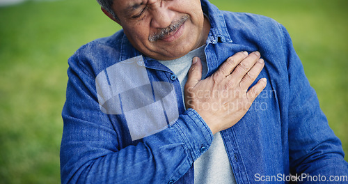 Image of Senior man, heart attack and chest pain at park, medical healthcare emergency and lung discomfort outdoor. Elderly person, garden and breathing problem, cardiac arrest and sick, injury or heartburn