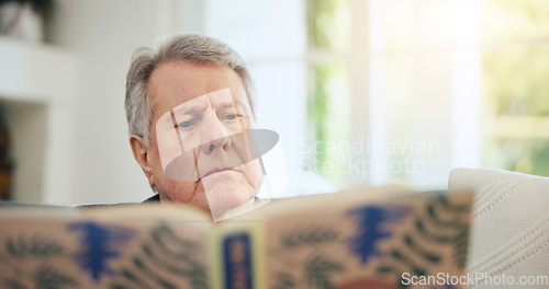 Image of Home, relax and senior man reading a book, thinking and knowledge with hobby, retirement and serious. Pensioner, apartment and elderly person in a living room, idea and story with novel or literature