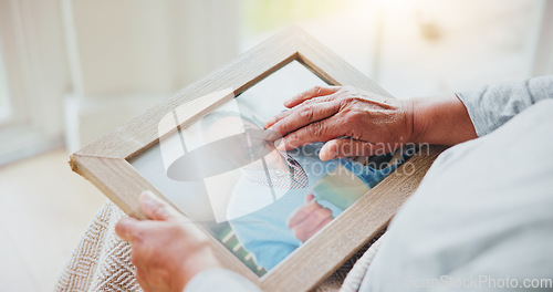 Image of Senior woman, grief and picture of husband on lap, hands and sad of love loss in retirement. Elderly person, alone and dear memory of beloved with anxiety, mental health and lonely bereaved in house