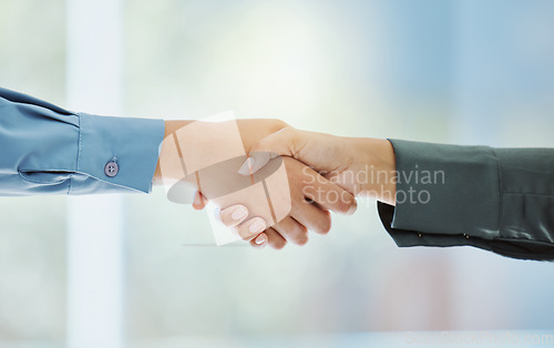 Image of Handshake, partnership and trust in support, teamwork or deal together against a blurred background. Business people shaking hands in agreement, success and help in company greeting or welcome