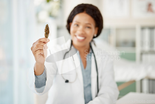 Image of Happy woman doctor with medicinal marijuana or cannabis plant in hand in a healthcare hospital for natural and organic medicine use. Innovation, natural and sustainable work with cbd or weed research