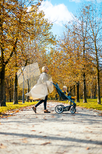 Image of Young beautiful mother wearing a rain coat pushing stroller with her little baby boy child, walking in city park on a sunny autumn day