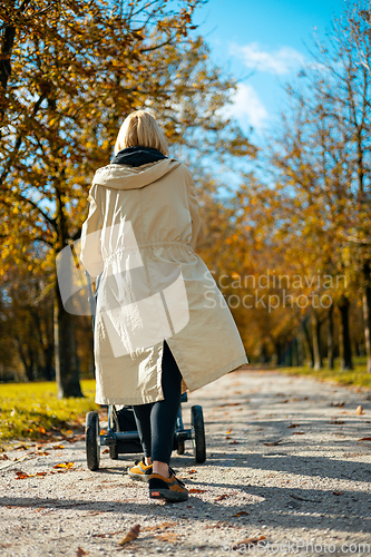 Image of Young beautiful mother wearing a rain coat pushing stroller with her little baby boy child, walking in city park on a sunny autumn day