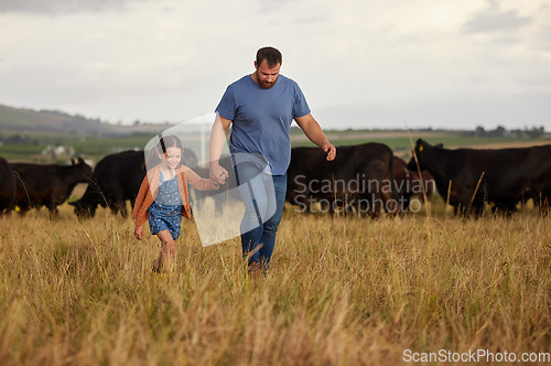 Image of Farmer father, child or family with cows on a farm, grass field or countryside. Sustainability or environmental dad and girl with cattle in background for meat, beef or agriculture growth industry