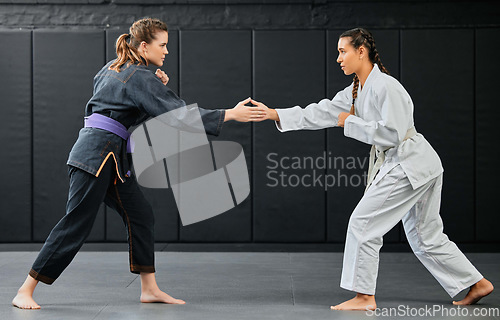 Image of Karate training, handshake and exercise of female sport students about to start training. Student fitness and gym workout of women learning how to fight at a dojo studio, school and sports club