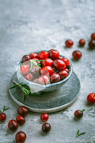 Image of Organic Cranberries in a bowl on grey background