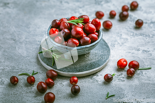 Image of Organic Cranberries in a bowl on grey background