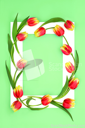 Image of Spring Red and Yellow Tulip Flower Abstract Background Frame