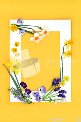 Image of Decorative Spring Flower and Herb Background Frame 