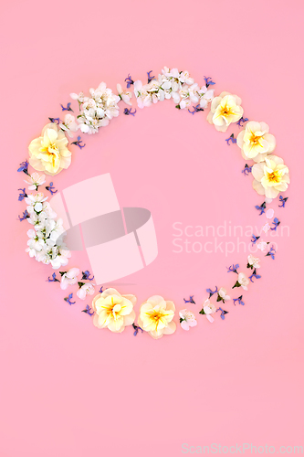 Image of Spring Cherry Blossom and Narcissus Flower Wreath