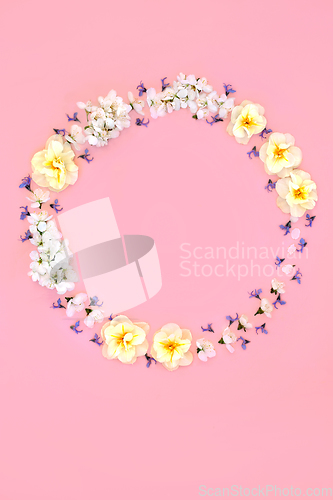 Image of Spring Cherry Blossom and Narcissus Flower Wreath