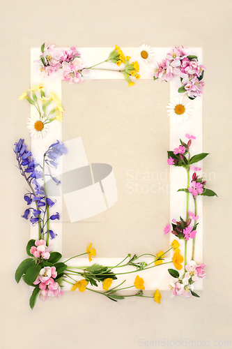 Image of Spring Wildflower Seasonal Background Frame