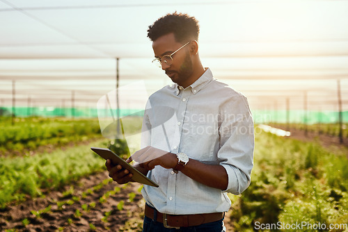 Image of Male farmer planning online strategy on a tablet looking at farm growth outdoors. Digital agriculture analyst analyzing farming data. Worker research environment and sustainability