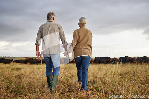 Image of Mature couple holding hands and walking on a cattle farm, bonding and having a stress free day together. Senior farmers enjoying outdoors, being active and loving on romantic walk at sunset
