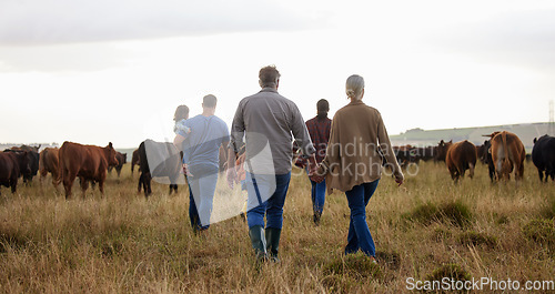 Image of Farm, countryside and family with cows on agriculture grass field in nature. Farmer mother, dad and kids with grandparents and cattle or sustainable animals for dairy, beef or meat industry.