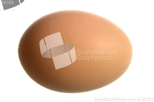 Image of isolated egg