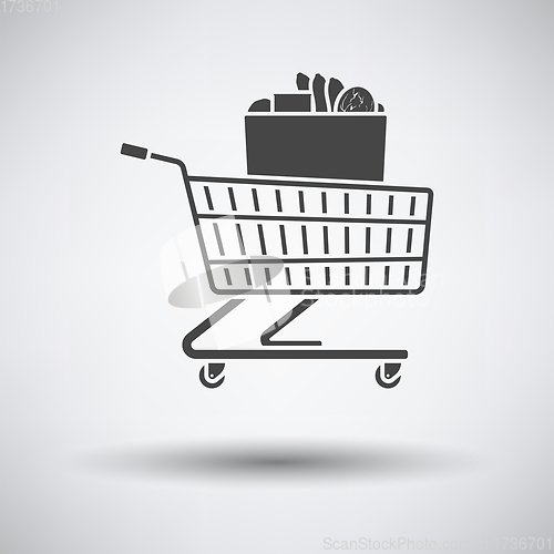 Image of Shopping Cart With Bag Of Food Icon